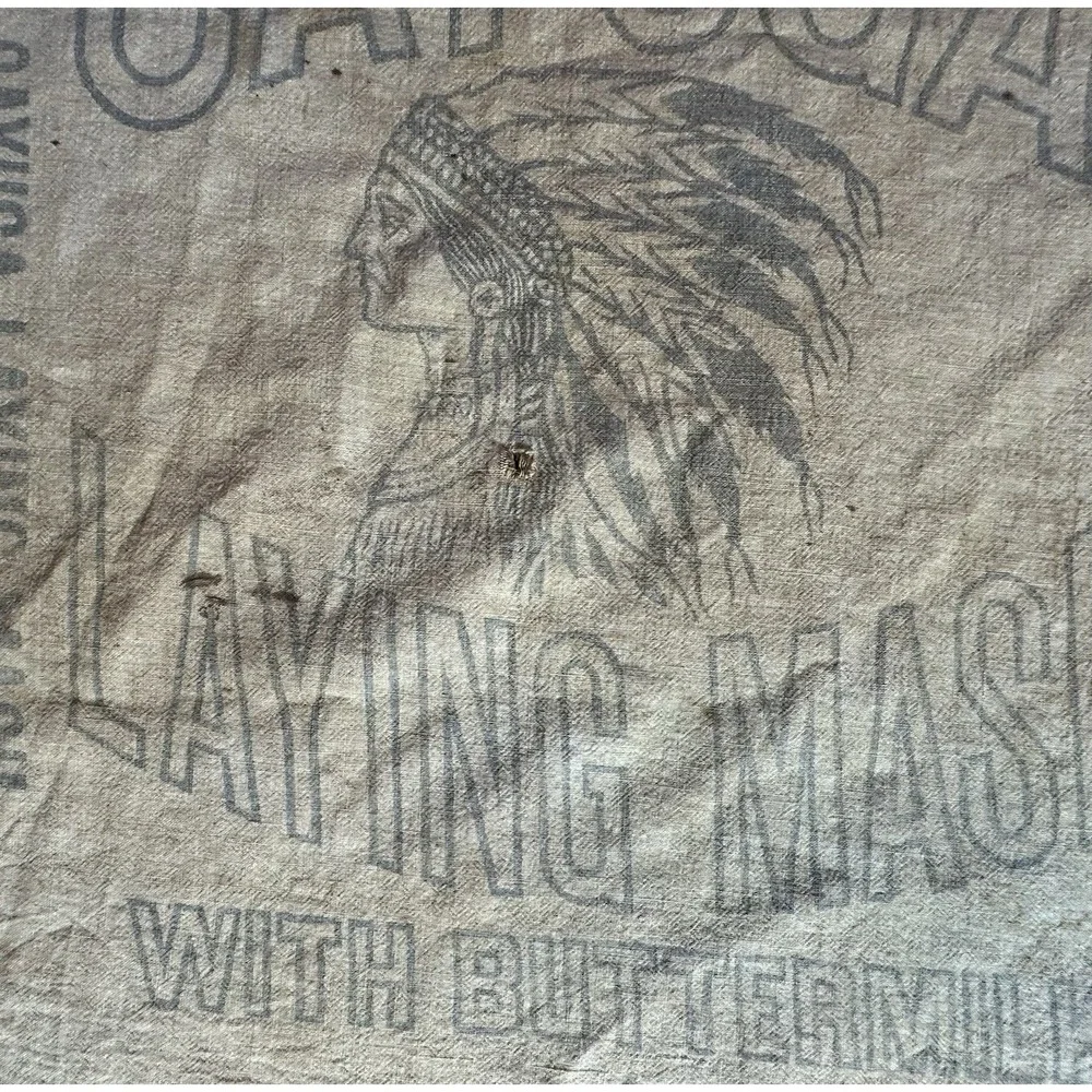 Vintage Cayuga Chicken Feed Bag‎ Beacon Milling Co Laying Mash Indian Chief Head